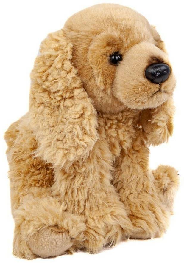 Teddys Rothenburg Kuscheltier Hund Cocker Spaniel 28 cm sitzend goldblond Kuscheltiere