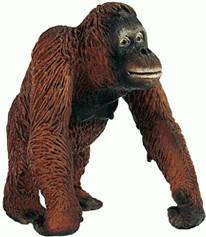 Schleich Orang Utan Weibchen Schleich