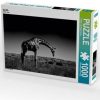 Puzzles Calvendo Giraffe Foto-Puzzle Bild [4056502086901]