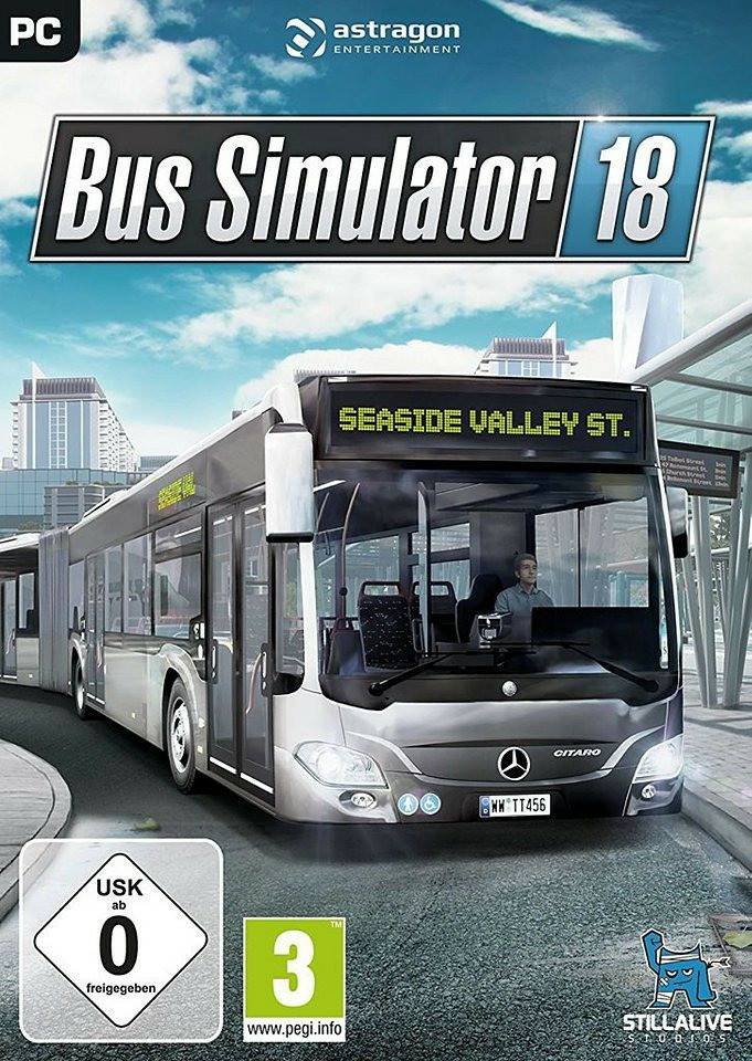 PC-Spiele Bus Simulator 18 (PC)