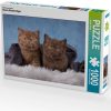 Calvendo Kleine Stubenstiger 1000 Teile Foto-Puzzle [4059477275233] Puzzles