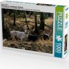 Puzzles Calvendo Unterwegs im Landsberger Wildpark (7454927)