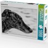 Calvendo Windhund Profil 1000 Teile Foto-Puzzle [4056502280804] Puzzles