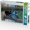 Calvendo Ang Thong Strand 1000 Teile Foto-Puzzle [4059478887381] Puzzles