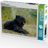 Puzzles Calvendo Bouvier des Flandres 1000 Teile [4056502593898]