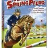 Dein Springpferd: Bau deinen eigenen Spring-Parcours! (PC) PC-Spiele