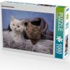 Puzzles Calvendo Kleine Deckenkrabler 1000 Teile [4059477275189]