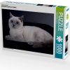 Calvendo Britisch Kurzhaar Katzen 1000 Teile [4056502020318] Puzzles