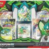 Sammelkarten Pokémon Ogerpon-Ex Premium Kollektion (DE)