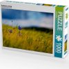 Puzzles Calvendo Korblume im Feld (7329506)