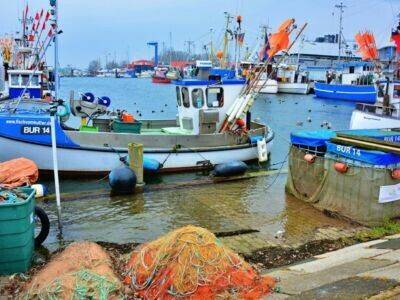 Puzzles Calvendo Frischer Fisch direkt vom Boot Foto-Puzzle Bild [4059477936257]