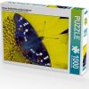 Calvendo Kleiner Schillerfalter auf Sonnenblume (7337865) Puzzles