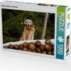 Puzzles Calvendo Golden Retriever im Winter (7315276)