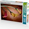 Puzzles Calvendo Zantedeschia Aethiopica Calla Blumen (7335530)